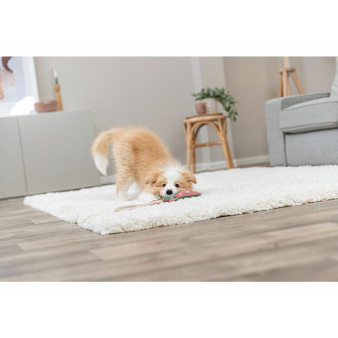 V2H490D42DB6B94BF512F7B5671F113C513R7213906P5