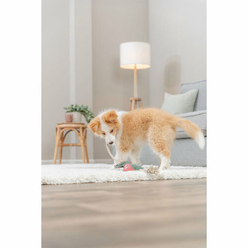 V2HF28599BCFF536B5FA7906D554ED235D7R7213909P8