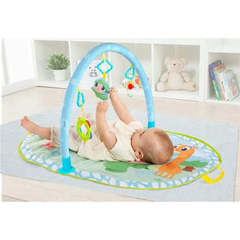 V4H3A75AE09013BE9027167472E96393504R7098699P3