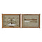 Cuadro DKD Home Decor 59 x 4 x 45 cm Nudo Mediterráneo (2 Unidades)