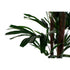 Planta Decorativa DKD Home Decor Marrón Negro Verde PVC Polipropileno (PP) (70 x 70 x 102 cm)
