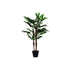 Planta Decorativa DKD Home Decor Marrón Negro Verde PVC Polipropileno (PP) (70 x 70 x 102 cm)