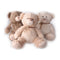 Oso de Peluche DKD Home Decor 42 x 45 x 45 cm Beige Marrón Blanco Oso (3 Piezas)