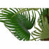 Planta Decorativa DKD Home Decor Verde PE Palmera (50 x 50 x 120 cm)