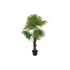 Planta Decorativa DKD Home Decor Verde PE Palmera (50 x 50 x 120 cm)
