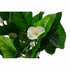 Planta Decorativa DKD Home Decor Blanco Verde PE Lirios (50 x 50 x 100 cm)