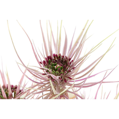 V9HE67FF705CD0F8BF0CF8C8C2EB173A2F0R5661371P4