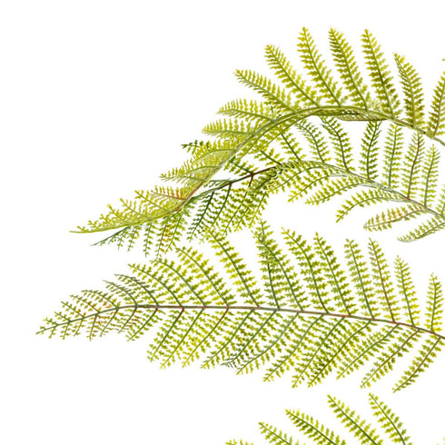 V6H88E15C2BD18E8071DE6B3D6BAC7DADE8R4419320P2