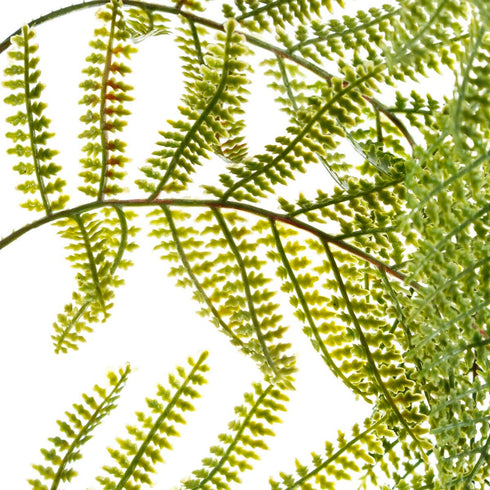 V6H3D047883C22BA5DD449A246EC153F040R4419321P3