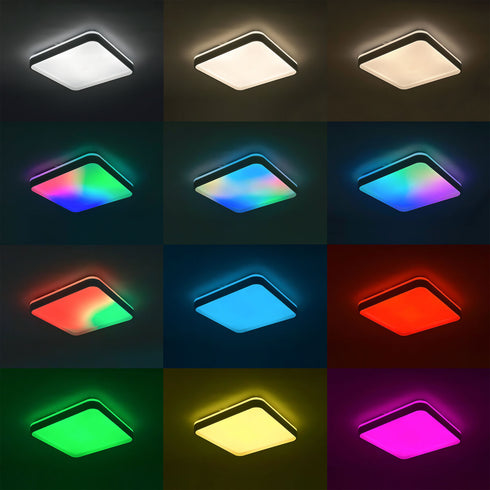 V3H2227F76554F5D368A10AA255911F6F7FR5602101P7