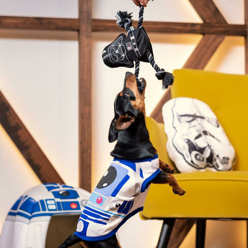 V6HB10D460F33A6BBA12137726B3E987448R5145236P10