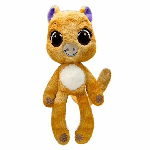 V4HF299E89517D838CD0114DC5F20CD6C56R5700133P8