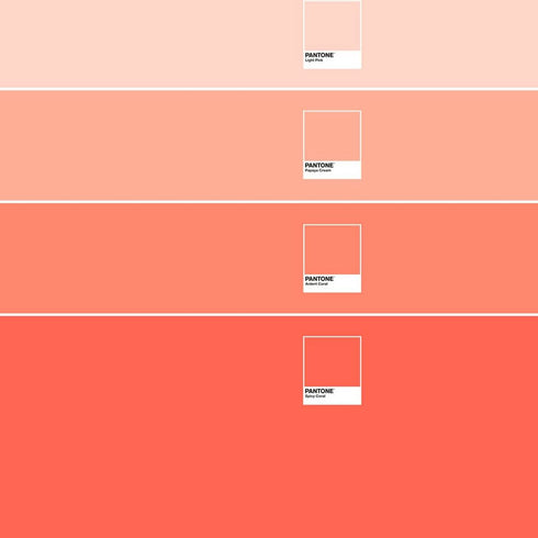 V10H3D2A614DCD03A9C8308095B3EAFE1FFDR3398955P3