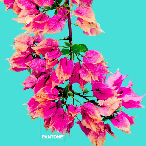 V11HD91F43C5C90279A55109A20916983403R3399549P3