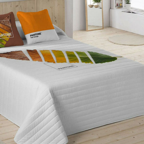 Colcha Leaf Pantone
