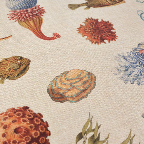 V5H979CA4787C2AD0CEB87E21CFDE38DDCAR4833568P7