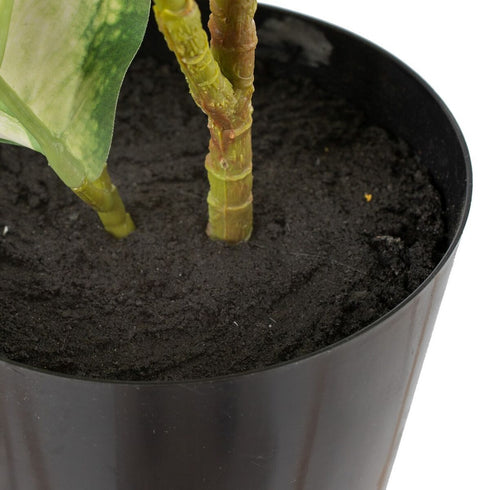 V3HBB6929E0348FF9141B60E4625D1C25F0R3676939P2