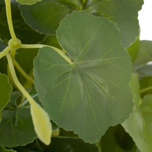 V5H7C6C644441B9B4CCA4A111797CCCD786R3676914P6