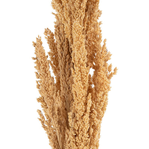 V6H2BD3719E639ED099E01D9565FBE459DCR3712102P4