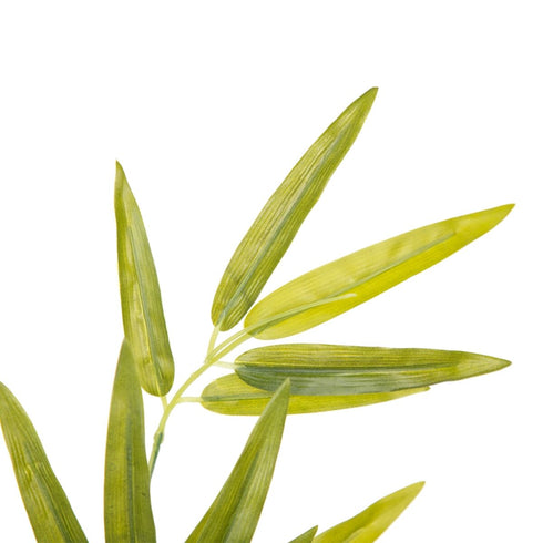 V6HB8C9D3EC51E1B4FFB3FE99F302A477FCR4419317P5