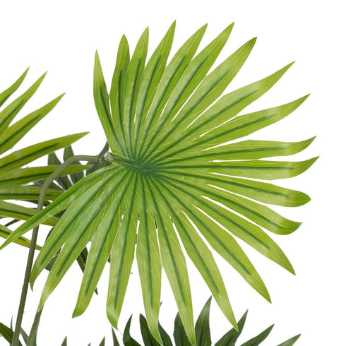 V6H5BAB20A363BC32229CA5EA1A6540684CR4419328P2