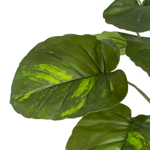 V6H1C98659D2E25D0C0E4A940E4C7663B15R4419323P2