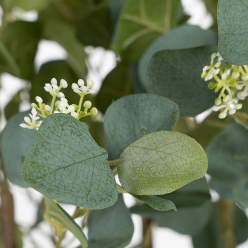 V6H603F8300D0AFACE55E0A1F4A5F841288R3861339P3