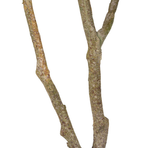 V6H1F2FA21F592ED969D48DB7952F7C7B7AR4985348P5