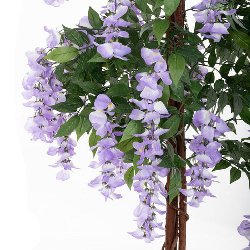 V5HCEA318C5D52F5BCB05A9E1434D99621ER4217751P5