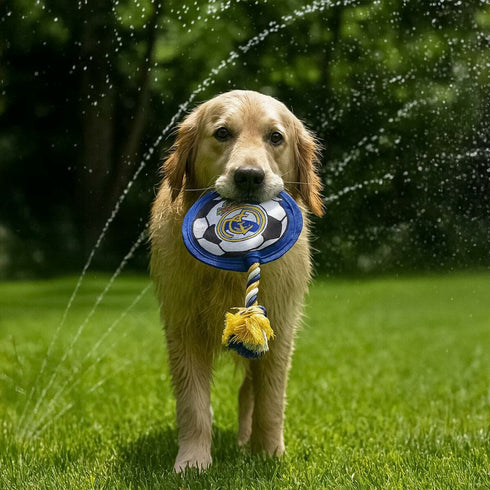 V2H776CDA9032B6B9C5E1E4431C5B7C8B4CR6939434P8