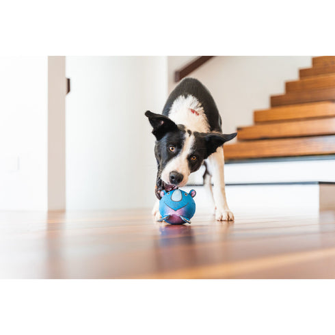 V3H6C218D37655042499563D968A8A9AC2AR3710167P2