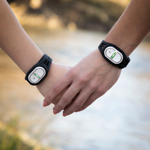 V13H31A1080551005A8E6E7393FF2EE3C51FR4401649P2