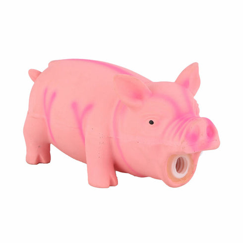 Juguete para perros Hearts & Homies Oxford