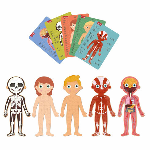 Puzzle Apli Human Body 240 Piezas