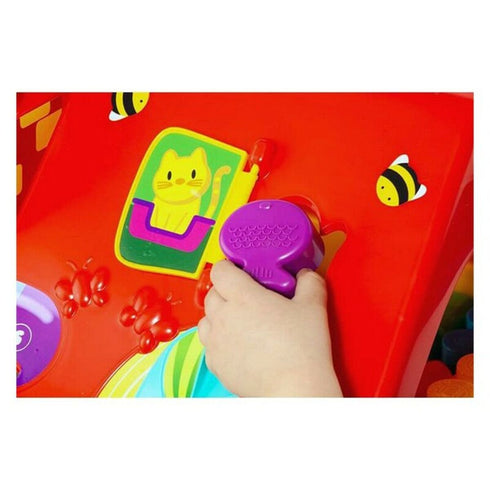 Centro de actividades Moltó 20460