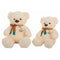 Oso de Peluche Avión Bordado 60 cm
