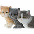 Figura Decorativa DKD Home Decor Gato Blanco Gris Naranja Gatito 20,5 x 10 x 15 cm (3 Piezas) (3 Unidades)
