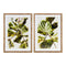 Cuadro DKD Home Decor Plants 50 x 2,5 x 70 cm Hoja de planta (2 Unidades)