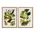 Cuadro DKD Home Decor Plants 50 x 2,5 x 70 cm Hoja de planta (2 Unidades)