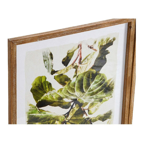Cuadro DKD Home Decor Plants 50 x 2,5 x 70 cm Hoja de planta (2 Unidades)