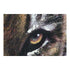 Cuadro DKD Home Decor León 100 x 3 x 100 cm Colonial (2 Unidades)