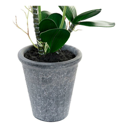 Planta Decorativa DKD Home Decor 30 x 22 x 51 cm Gris Lila Blanco Orquídea (2 Unidades)