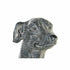 Figura Decorativa DKD Home Decor Fibra de Vidrio Perro (69 x 24 x 36 cm)