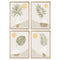Cuadro DKD Home Decor Jarrón 50 x 2 x 70 cm Escandinavo (4 Piezas)