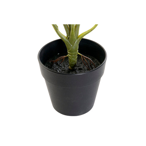 Planta Decorativa DKD Home Decor PVC Polipropileno 20 x 20 x 30 cm