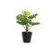 Planta Decorativa DKD Home Decor PVC Polipropileno 20 x 20 x 30 cm