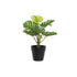 Planta Decorativa DKD Home Decor PVC Polipropileno 20 x 20 x 30 cm