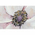 Cuadro DKD Home Decor 150,5 x 2,7 x 60 cm Flores Shabby Chic (2 Unidades)