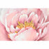 Cuadro DKD Home Decor 80 x 3 x 80 cm Flores Shabby Chic (2 Unidades)