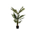 Planta Decorativa DKD Home Decor 89 x 89 x 135 cm Cemento Polietileno Verde Polipropileno Tropical Palmera